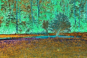L 059B